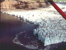 The Knik glacier melts into the sea.